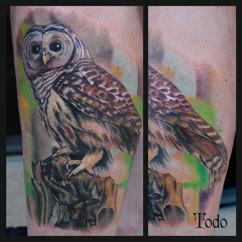 Barred Owl by Todo TattooNOW