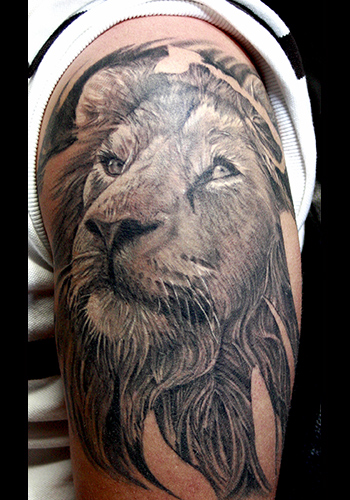 Tattoos Tattoos Nature Animal Lion