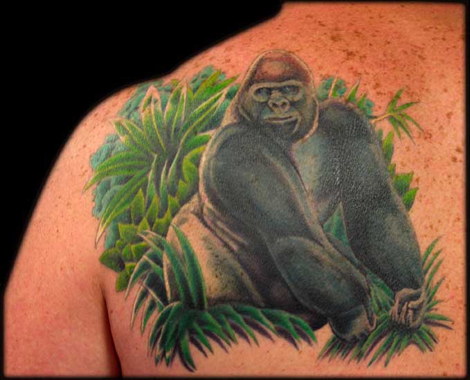 silverback meaning