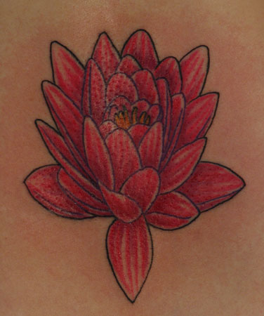 Tattoos - lotus - 10298