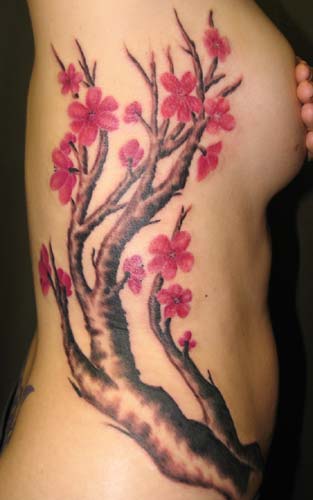 Tattoos - cherry blossoms - 11906