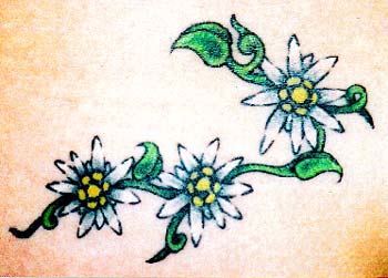 Tattoos - eidelweis flowers - 6127