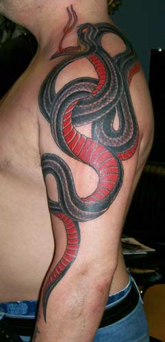 Tattoos - snake - 19308