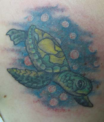 Tattoos - sea turtle - 11910