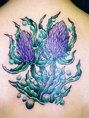 Tattoos - Thistle - 4689