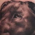 Black and Gray realistic dog portrait tattoo, Ryan Mullins Art Junkies Tattoo Tattoo Thumbnail