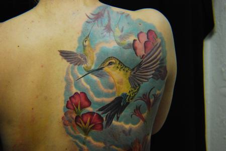 Frank Mcmanus - Humming Bird Tattoo