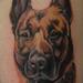 Tattoos - Color Dog Portrait Tattoo - 64566