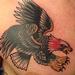 Tattoos - Traditional-Style Eagle Tattoo - 64567