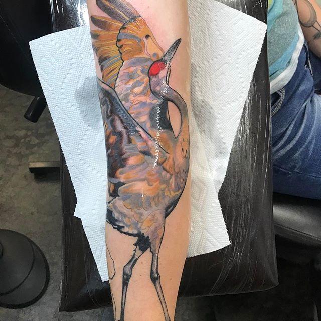 Illustrative Bird By Bryon Naten Tattoonow 3445