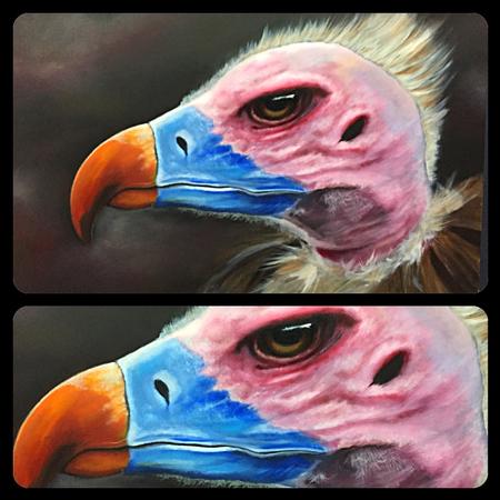 Tattoos - Vulture Painting - 122448