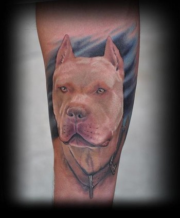  Gallery Jobs on Paradise Tattoo Gathering   Tattoos   Music   Pitbull