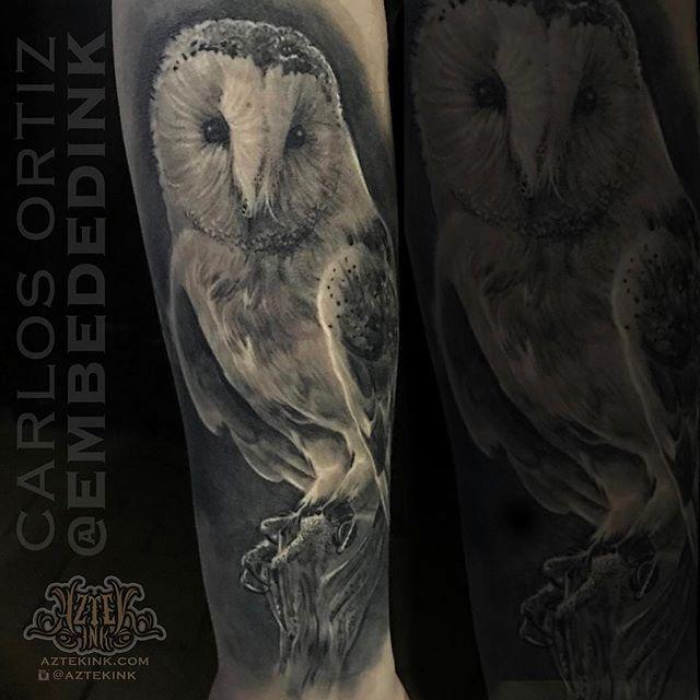 Black and Grey Owl by Carlos Ortiz TattooNOW