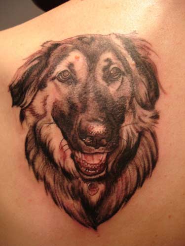 Realistic dog portrait tattoo