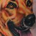 Tattoos - German Shepard - 70910