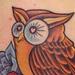 Tattoos - Color Owl Tattoo - 65149