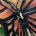 Tattoos - Butterfly and flowers - 72951