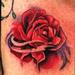 Tattoos - red rose - 95332