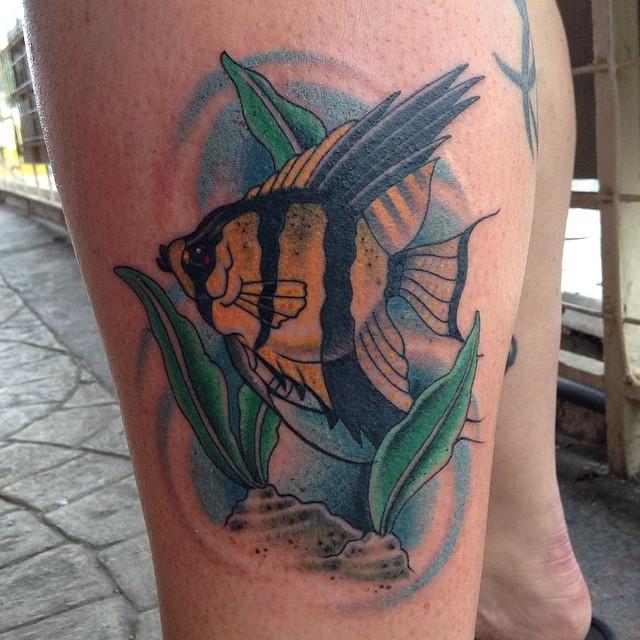 Angel fish by William TattooNOW