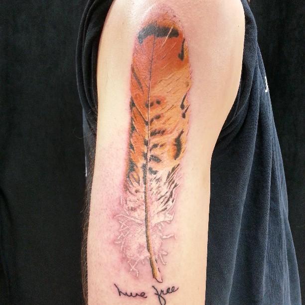 red tailed hawk tattoo design