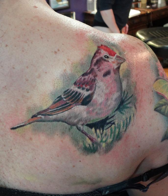 Paradise Artist Retreat : Tattoos : Nature Animal Bird : Finch Shoulder