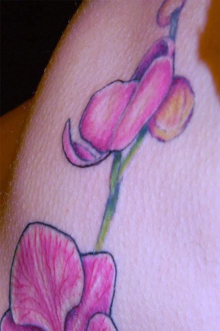 orchid bud close up Tattoos