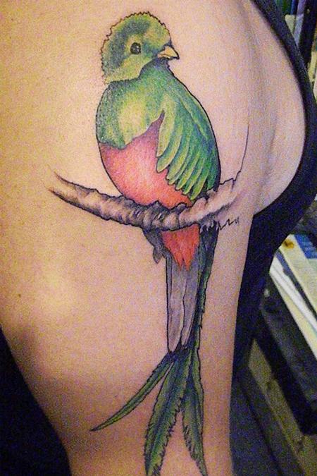 Quetzal Tatoo