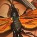 Tarantula hawk Original Art Design Thumbnail