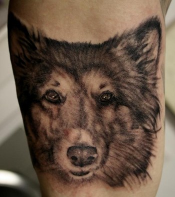George Perham Tattoos Portrait Dog Tattoo