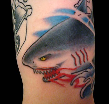 Joe Maher - Shark Head - Work in Progress