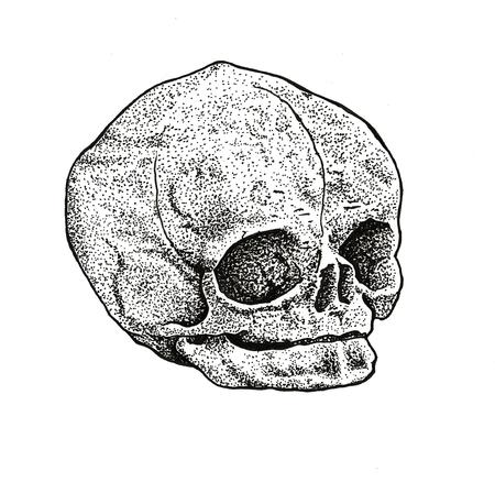 Tattoos - Dotwork Fetal Skull - 126159