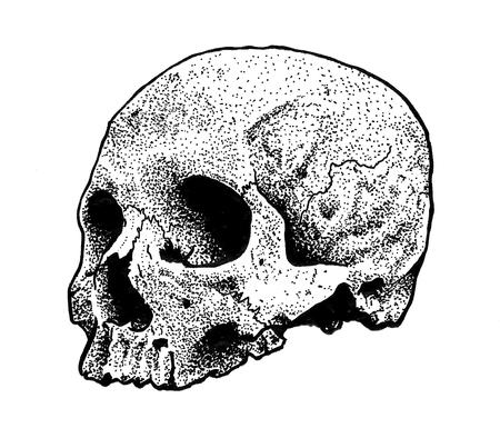 Tattoos - Dotwork Skull Drawing - 125314