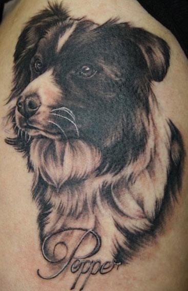 Tattoos - Border Collie Dog Tattoo - 58576