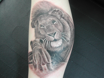 Tattoos - Lion - 18208