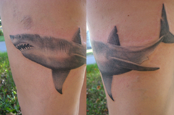 Tattoos - Shark Tattoo - 18218