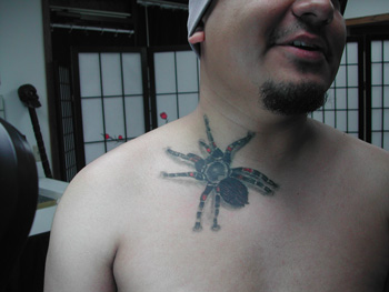 Tattoos - Spider - 18220