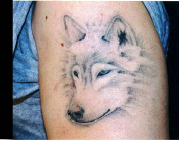 Tattoos - Wolf - 18223