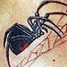 Tattoos - Black Widow Spider - 26400