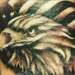 Tattoos - Eagle and Flag - 32533