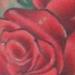 Tattoos - Roses  - 57303