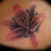 Tattoos - flower tattoo  - 30447