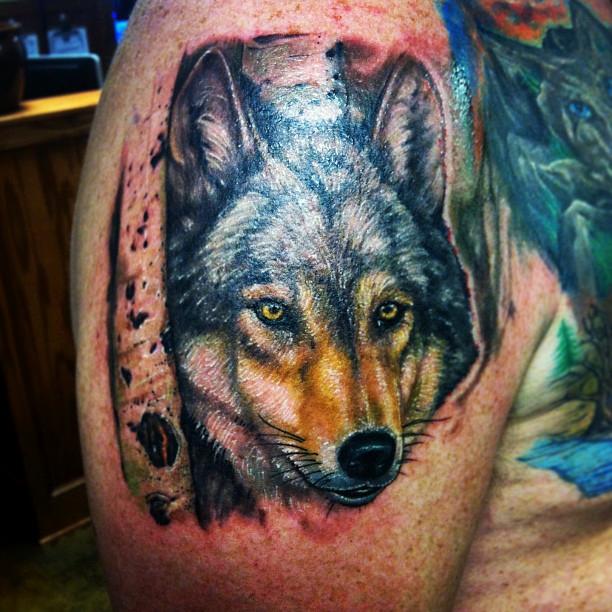 Wolf Portrait by Jeff Barnard: TattooNOW