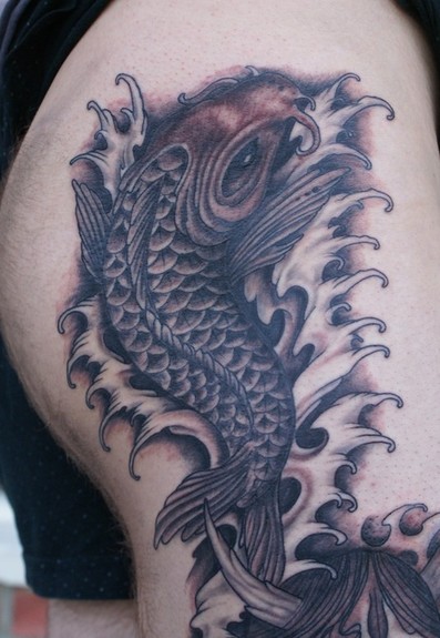 coi fish tattoo. and grey coi fish from the