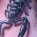 Tattoos - A Lil Scorpion - 38805