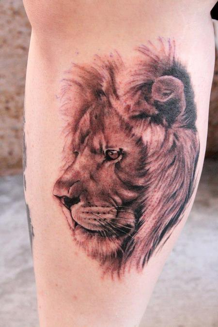 Jeff Norton - Black and Grey Lion Portrait