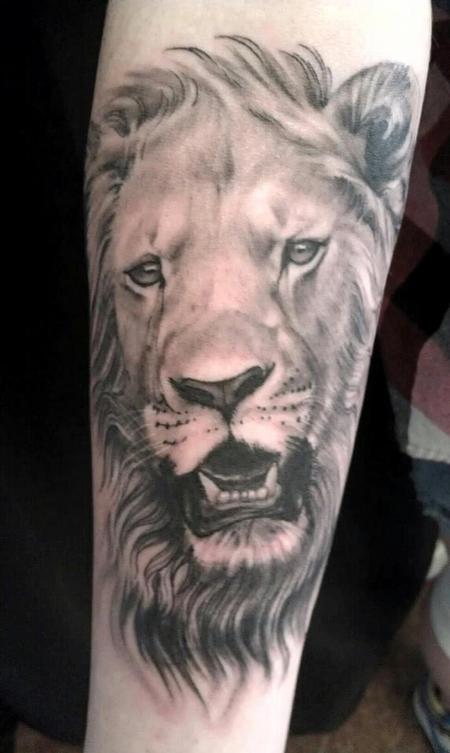 Jeff Norton - Black and Grey Lion Portrait 