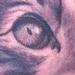 Montgomery Tattoo Design Thumbnail
