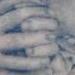 C. J. Laughlin  Tattoo Design Thumbnail