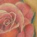 Tattoos - michelles rose - 56276