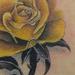 Tattoos - yellow rose - 56224